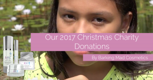 christmas charity 2017